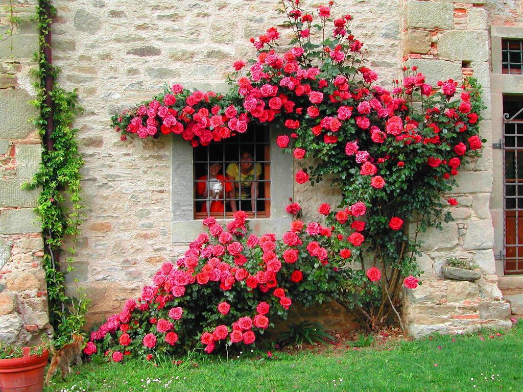 Agriturismo "Ai Frati" Pieve Fosciana Buitenkant foto